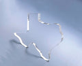 Texas Paper Weight