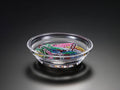 Honeycomb Dish